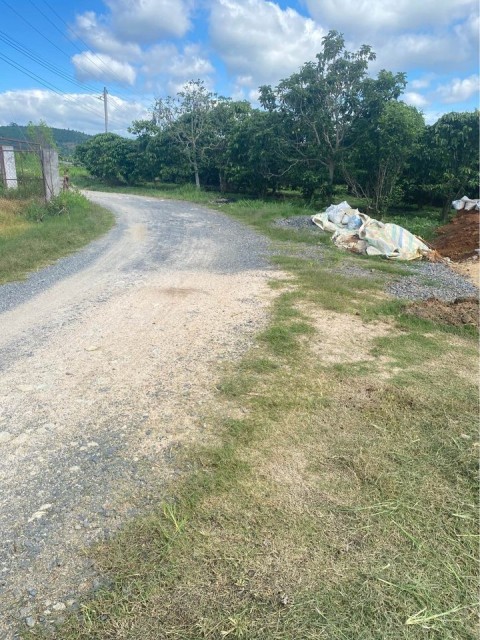 Cần bán đất 4,3 sào tại xã Hoà Nam H. Di...