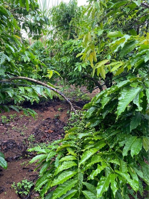 Bán đất xã Hoà nam giáp Tân lạc cách...