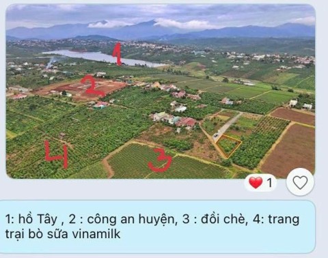 Chủ ngộp cần bán lô đất 2 mặt tiền, hiện...