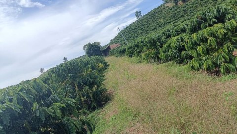 chính chủ cần bán lô đất giá 450tr tại...