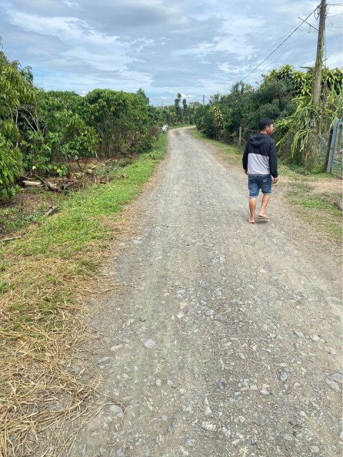 Cần bán lô đất vườn 2,9 sào xã Hoà Nam,...