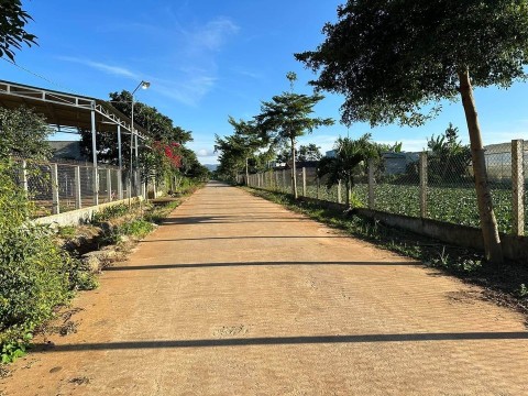 Bán đất sẵn nhà cấp 4 tại đường số 9- Xã...