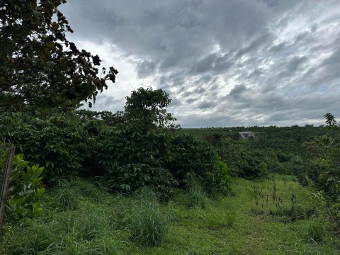 Cần bán miếng đất 1000m2 tại Hoài Đức,...