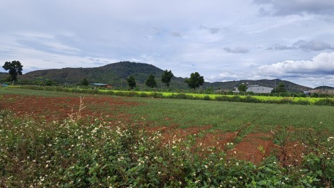 Bán đất cây số 3 cư xá Liên Hiệp GIÁ RẺ...