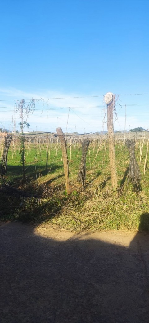 Bán lô đất diện tích 3900m2 tại xã Quảng...