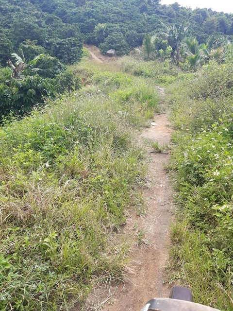 Bán nhanh mảnh đất 1,3ha tại xã Hoà Nam,...