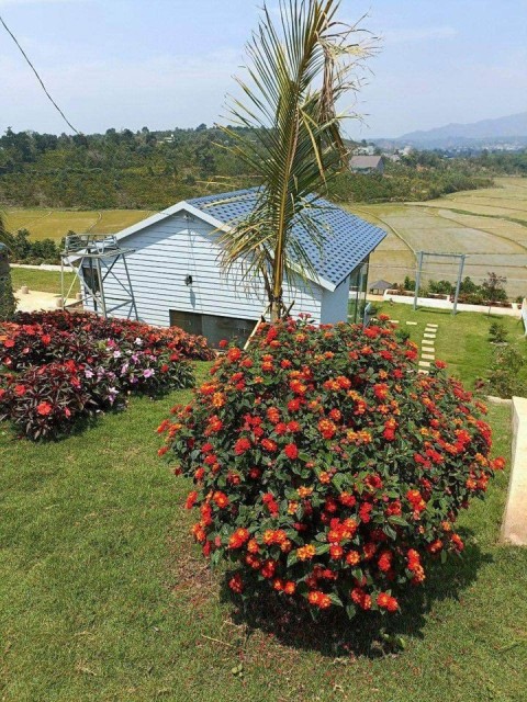 Cần bán gấp lô đất ở xã Hoà Trung, Huyện...