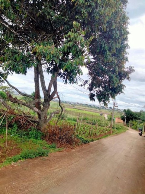 Bán nhanh lô đất sổ sẳn thổ cư tại xã Tu...