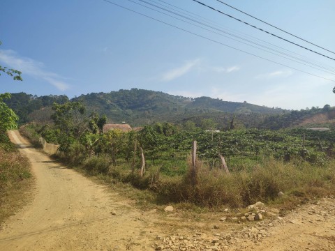 Chính chủ cần bán nhà đất tại xã Ninh...