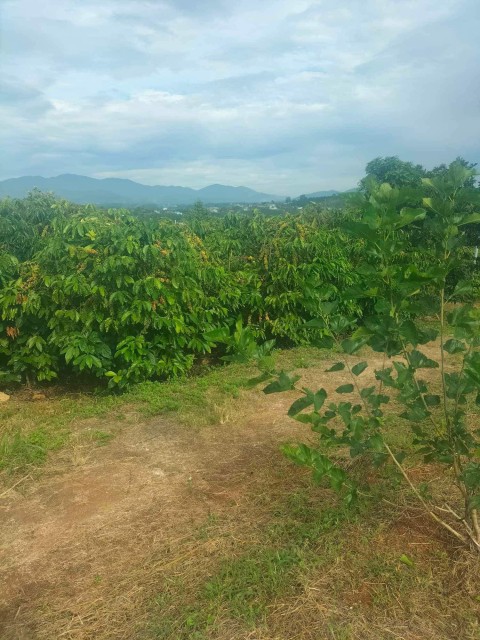 Bán lô đất 1.2ha tại xã Hoài Đức, huyện...