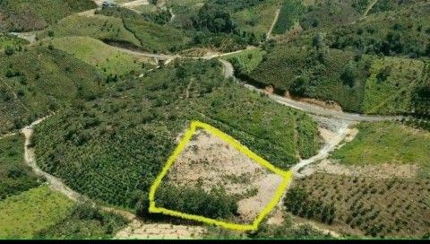 Bán lô đất 2137m2 xã Lộc Bắc Bảo Lâm Đất...