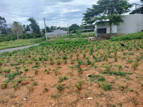 Cần bán đất thôn 12 xã Lộc Thành, Bảo...