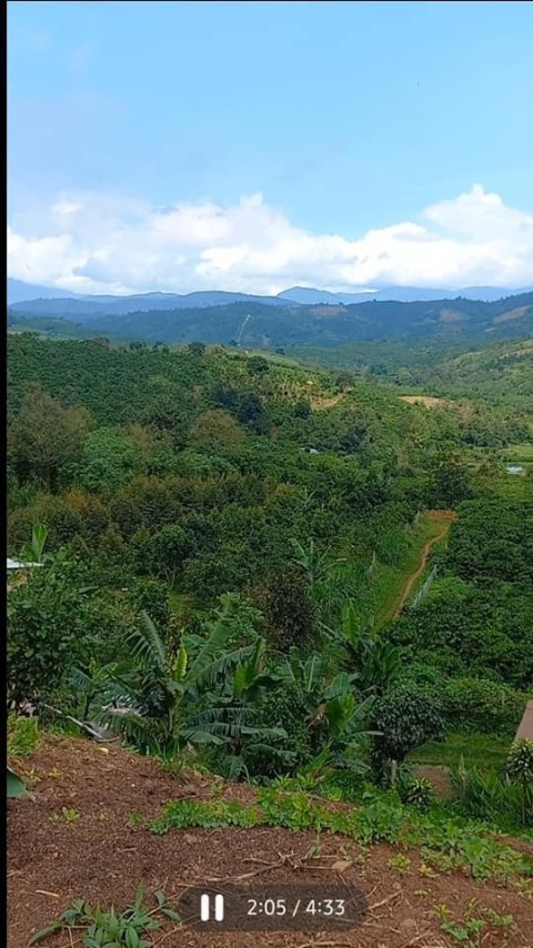 Kẹt tiền bán lô đất diện tích 369,6m2...