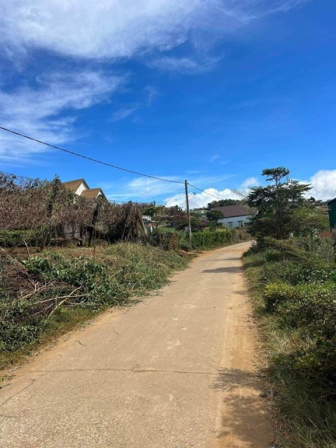 Đất sào sẵn nhà cấp 4 - nhà lưới tại xã...