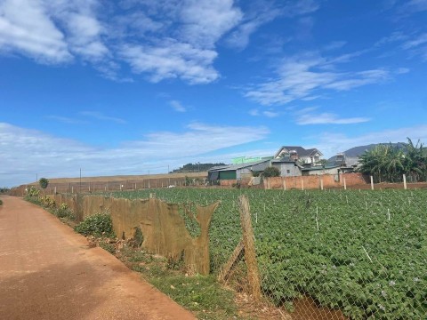 Cần ra lô đất sẵn thổ cư ngay đường bên...