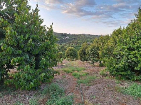 Bán nhanh lô đất đẹp giá ngộp tại Xã...