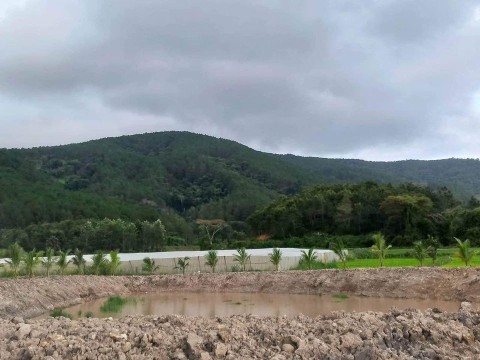 Cần bán 6 xào đất tại xã Lạc Xuân, Đơn...