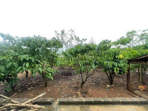 Bán đất ngay trung tâm xã Lộc An - Bảo...