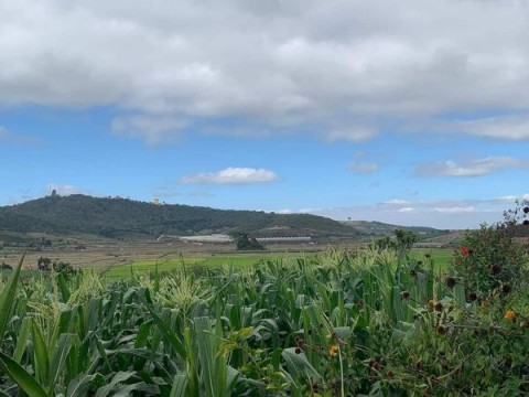 Bán đất 3 sào tại Xã Tu Tra, H. Đơn...