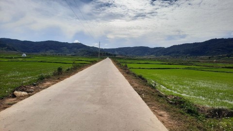 Bung giỏ hàng đất sào giá rẻ phục vụ cho...