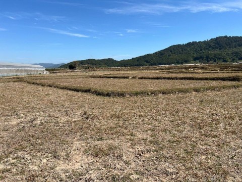 Bán lô đất ruộng, diện tích 4,2 sào tại...