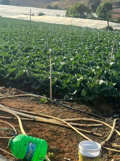 BÁN LÔ ĐẤT 5 SÀO XA LẠC XUÂN - ĐƠN DƯƠNG...