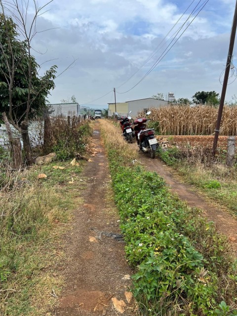 Bán đất tổ 34/35 thị trấn Liên nghĩa Đức...