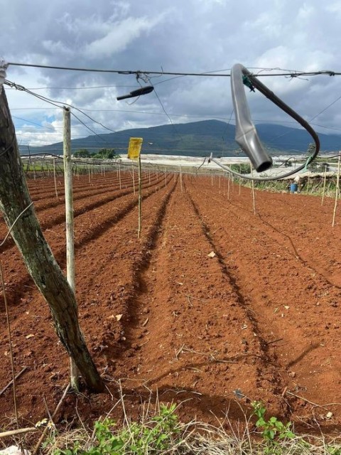 Cần bán 2,2 sào đất tại Xã Ka Đô, H. Đơn...