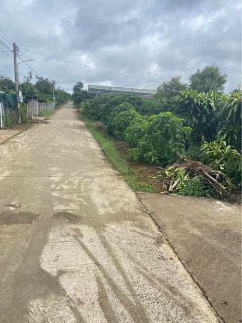 Bán đất xã Hoà ninh giáp Tân lạc  cách...