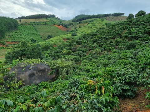 Cần bán Gấp lô đất tại xã Phi Tô, huyện...