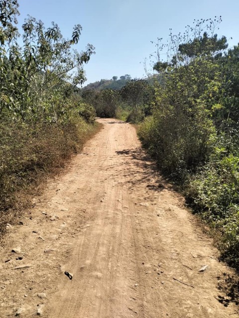 Cần bán gấp 6 sào đất tại Xã Đinh Trang...