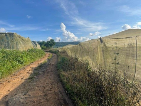 Cần bán gần 4 sào đất làm laghim sẵn nhà...