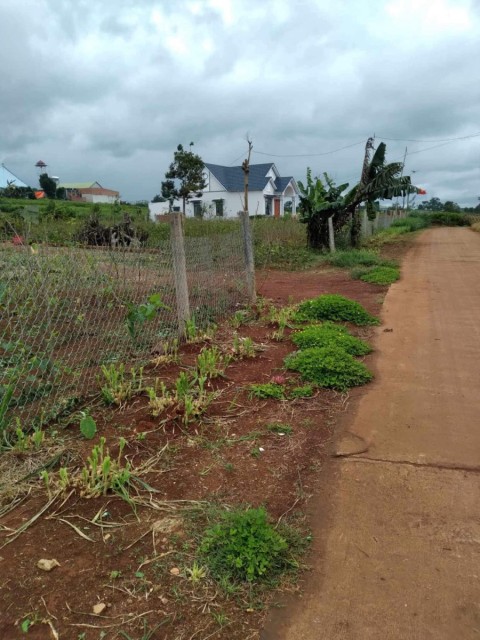 Kẹt tiền bán gấp lô đất tại xã Hoài Đức,...