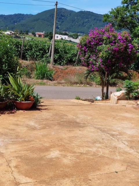 Bán 296 m2 đất mặt tiền Đường ĐH 12...