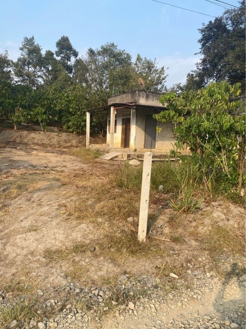 Cần bán 8,4 sào /hơn 100 m mặt tiền...