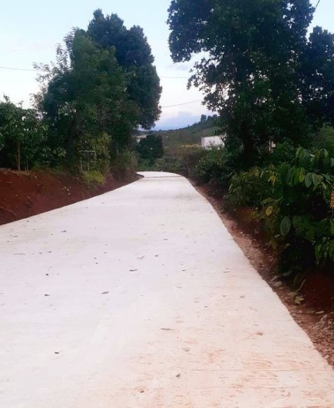 Cần bán 8 sào đất tại Xã Đinh Trang Hòa,...