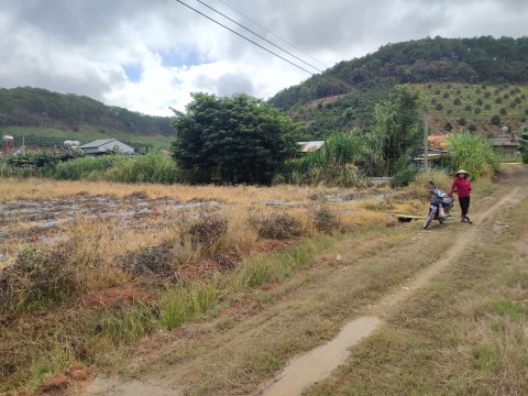 Cần bán đất tại xã Ninh Loan, Huyện Đức...