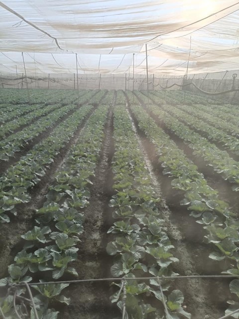 Cần bán gấp lô đất để giải quyết công...