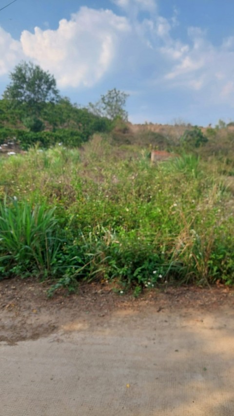 Bán lô đất thuộc Tân Văn, Lâm Hà, Lâm...