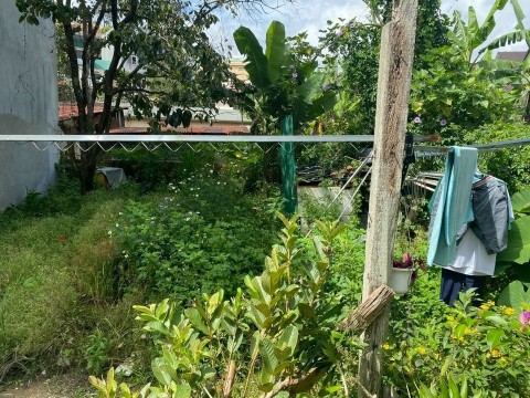 BÁN LÔ ĐẤT ( DT 74.48M2 - 2 TỶ 600 ) TẠI...