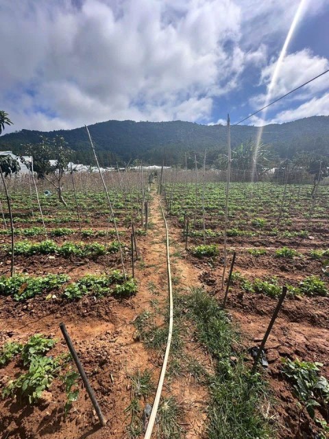 Bán Đất thuộc xã Lạc Xuân- Đơn Dương-...