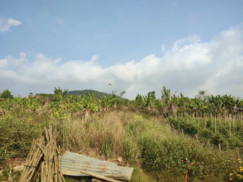 Cần bán đất mặt đường bê tông dt 5.012m...