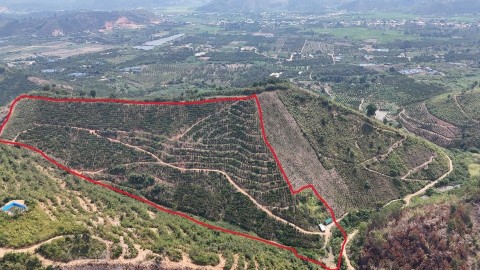 Cần bán gấp lô đất trả nợ, tại Romen,...