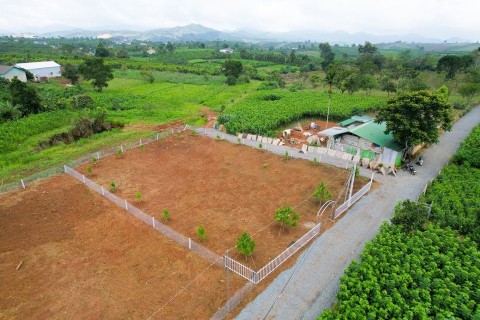 Bán đất Diện tích 1014 m2 mặt tiền đường...