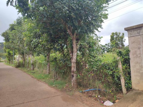 Cần bán đất mặt đường bê tông xã Ninh...