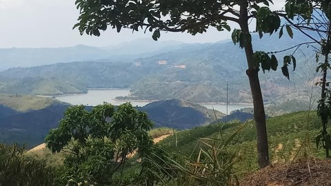 Cần bán 1 mẫu đất tại Xã Đinh Trang Hòa,...