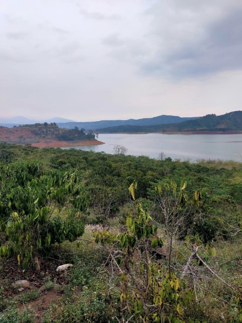 Bán lô đất đất diện tích 3 ha xã Tân...