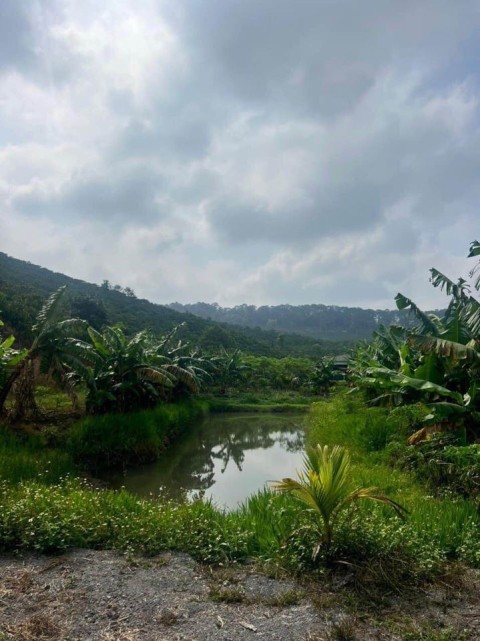 Cần bán vườn 7 sào 6 Xã Lộc Phú, Bảo...