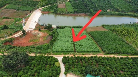 Cho ra đi gấp lô đất  tại Hoài Đức, Lâm...