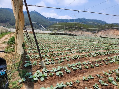 Chỉ  450 triệu  một  sào  đất vùng ven...